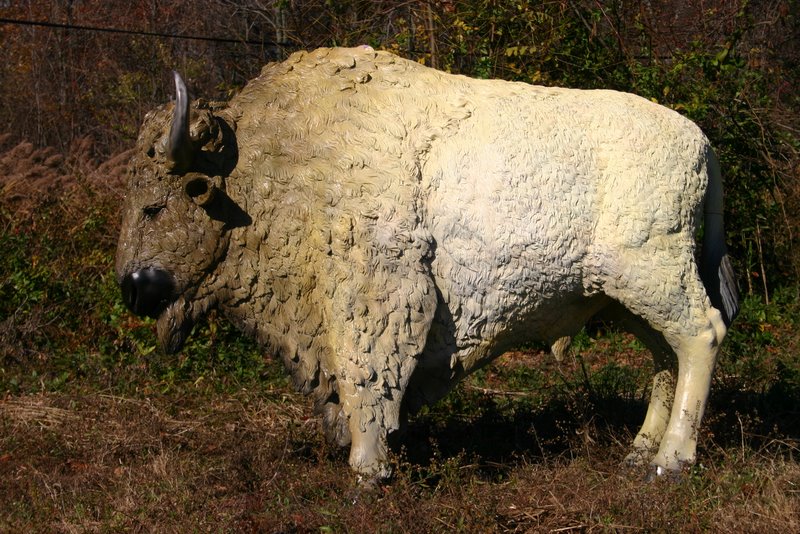 White Bison Sculpture - Click Image to Close